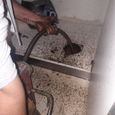 Destapacion de tapa cloacal